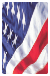 DF35T 420 American Flag